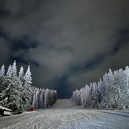 Vila Jezero Kopaonik Exterior photo